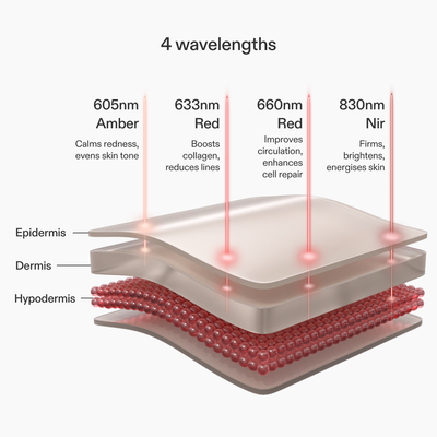 Infographic showing different layers of skin and LED wavelengths