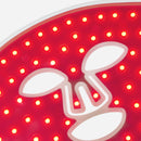 Light Therapy Mask